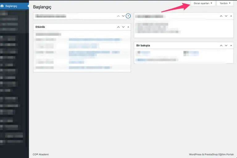 WordPress Ekran Tercihleri (Screen Options) Nedir?