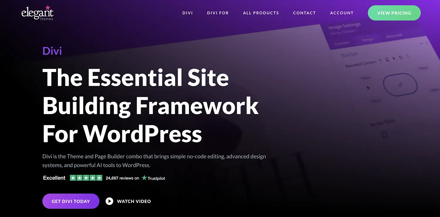 Divi: Çok Amaçlı WordPress Teması